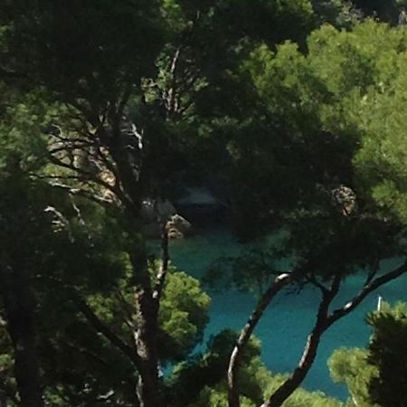 アンシュエス・ラ・ルドンヌ Les Terrasses Des Anthenors Bed & Breakfast エクステリア 写真